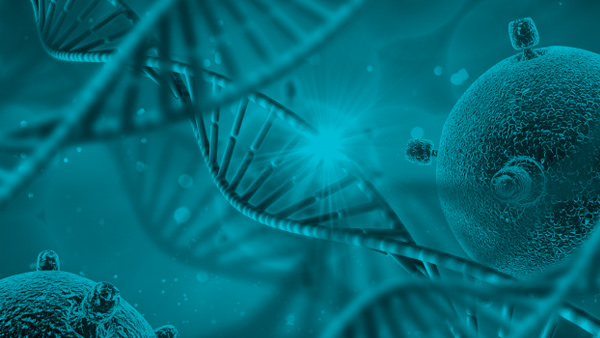 La Ciencia Detrás de los Resultados de ADN